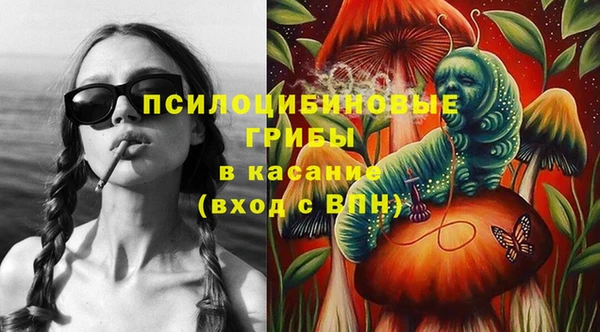 mdpv Новозыбков