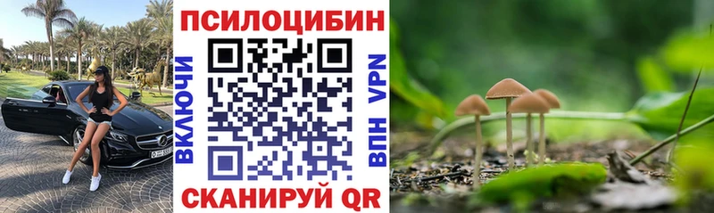 Галлюциногенные грибы Psilocybe  Ревда 