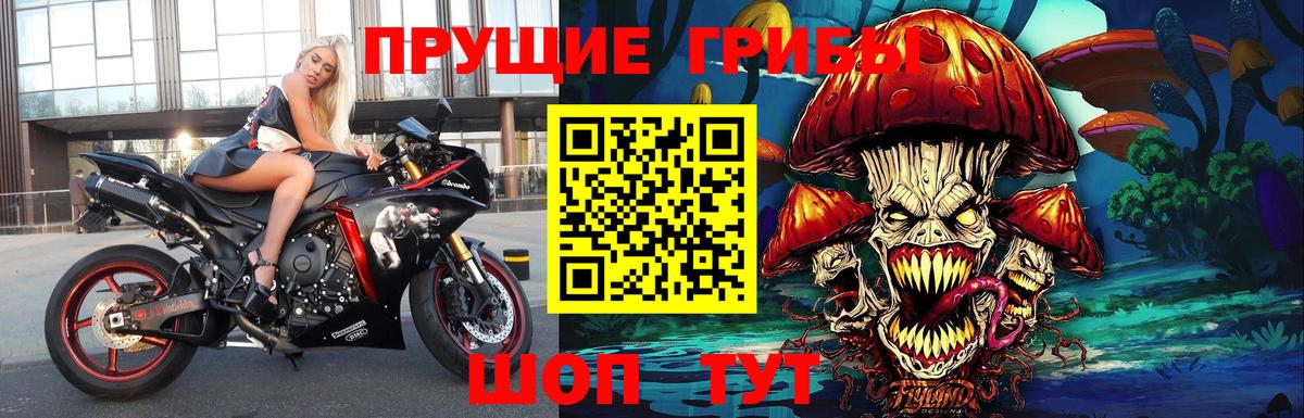 Псилоцибиновые грибы GOLDEN TEACHER Ревда