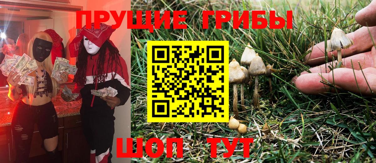 закладка  Ревда  Галлюциногенные грибы Magic Shrooms  Галлюциногенные грибы Cubensis 